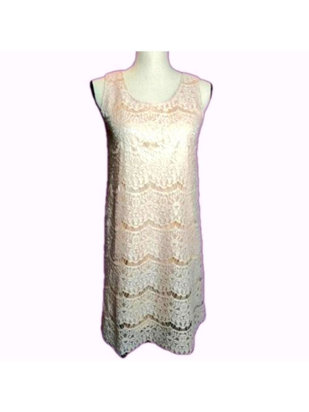 New Blush Lace Overlay Silky Satin Sleeveless Dress Small